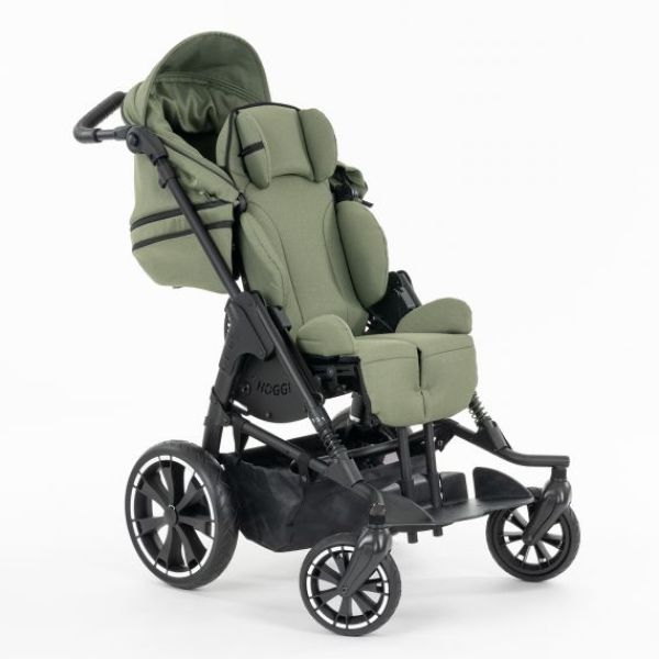 BINGO Evolution Trendline-6